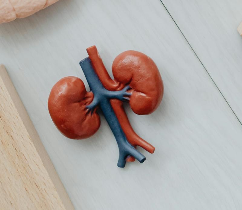 Salud renal y nefrología